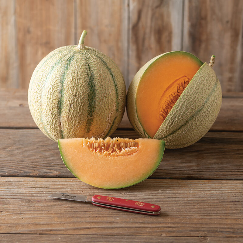Melonade - Cantaloupe