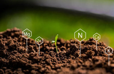 Soil Testing