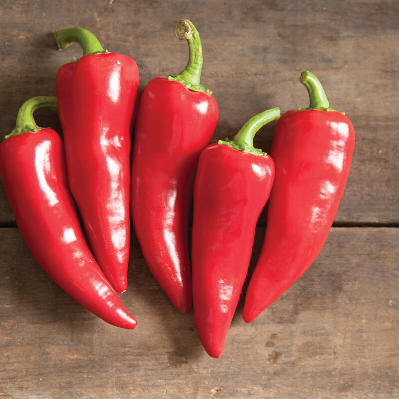 Peppers