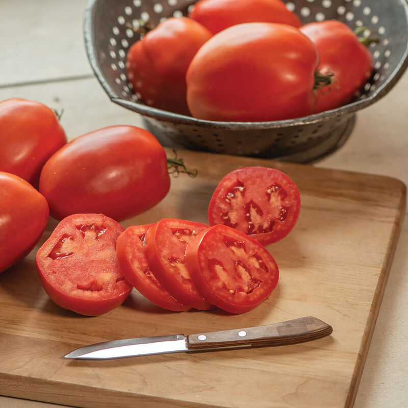 Tomatoes