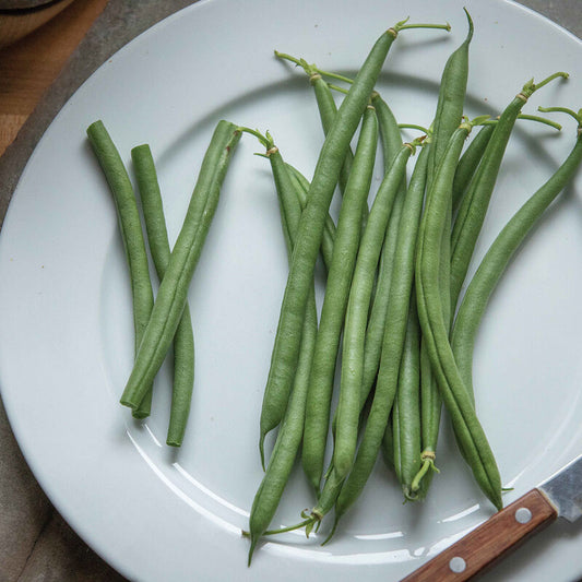 Seychelles - Snap Bean