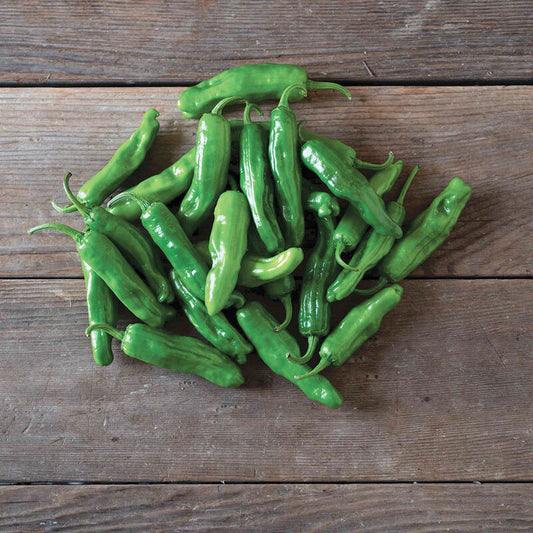 Paisan - Pepperoncini Pepper